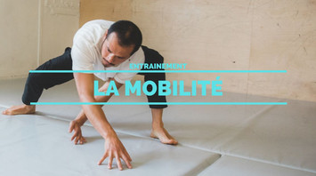 mobilite0 mobilite0