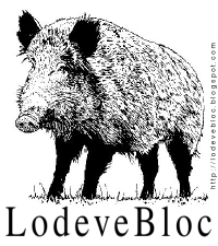 Logo LodeveBloc à l'effigie de Sanglier
